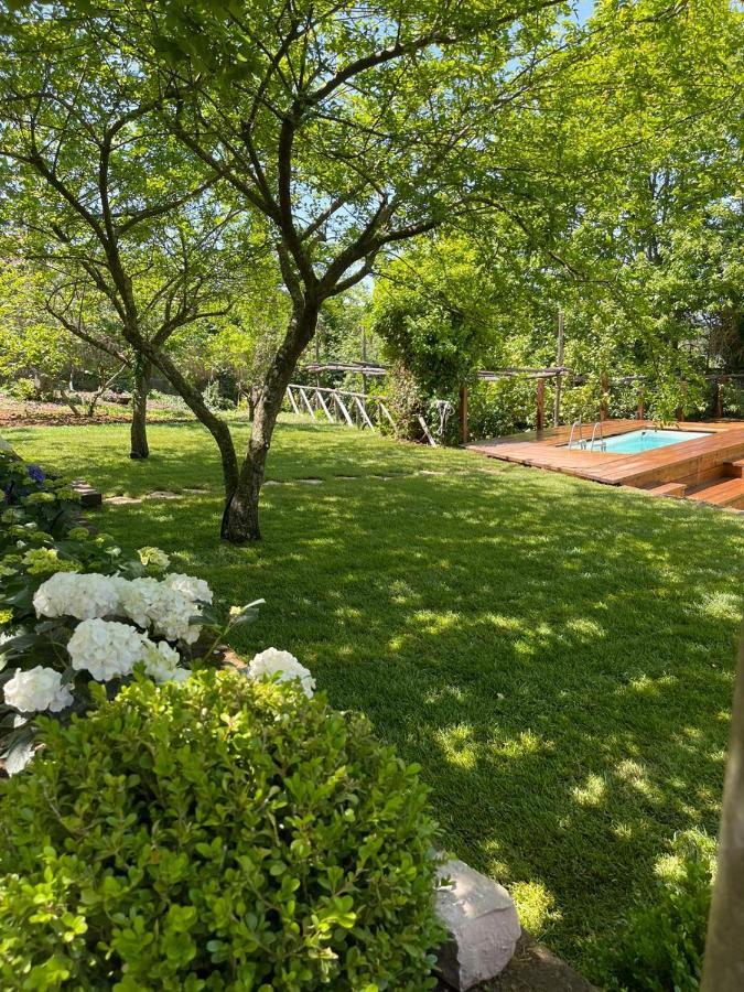 Villa Spartano Sant'Agata Sui Due Golfi Massalubrense Massa Lubrense Bagian luar foto